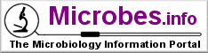 microbiology information portal